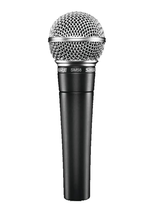 Shure SM58 micro voix standard location concert Hyères Var