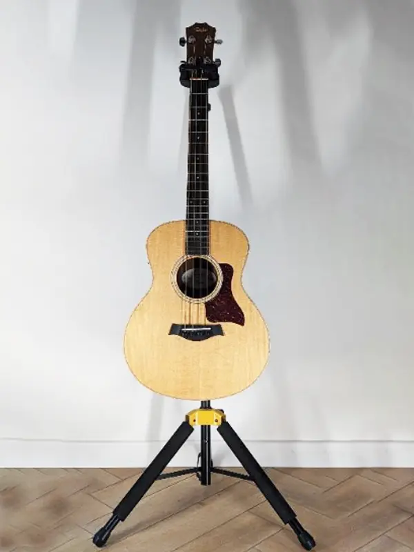 Taylor GS Mini Bass électro-acoustique en location backline à Cannes, Aix-en-Provence et Montpellier en région PACA